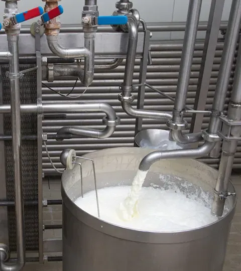 Dairy
