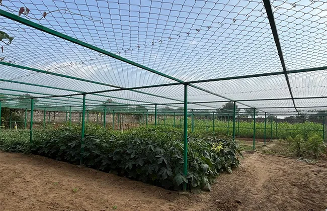 Green farming on the premises
