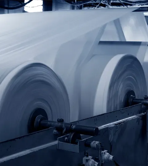 Paper & Pulp Processing Industry